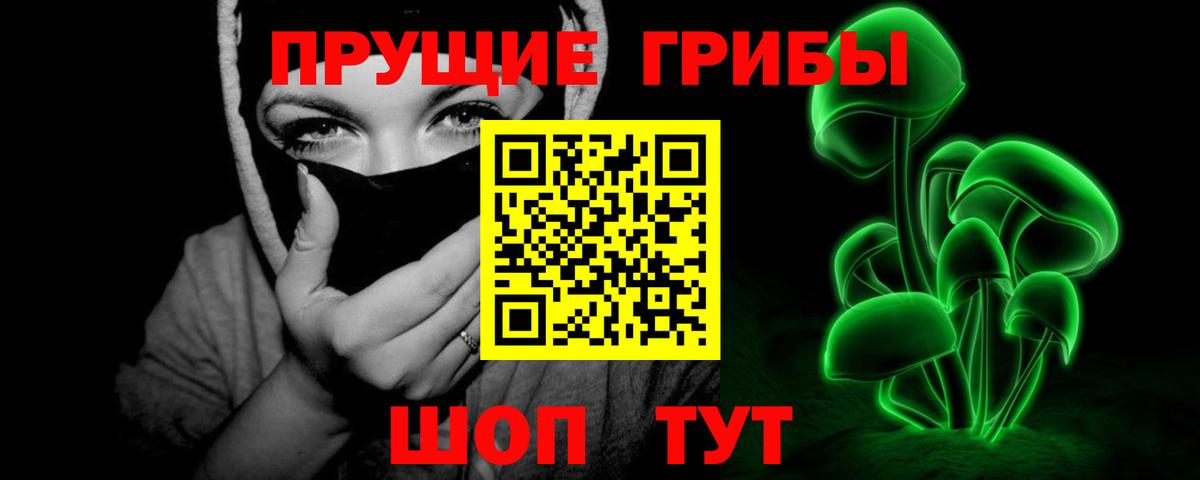 Сорочинск  Галлюциногенные грибы Cubensis  Вход с VPN 